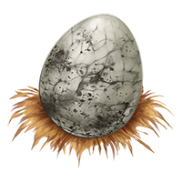 Large Reptile Egg