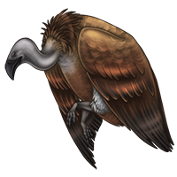 Carcass: Vulture