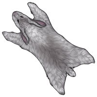 Pelt: Grey Rabbit