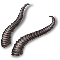 Medium Animal Horns