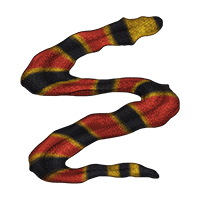 Hide: Coral Snake