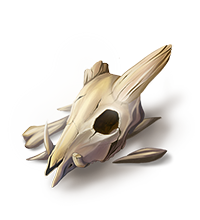 Skull